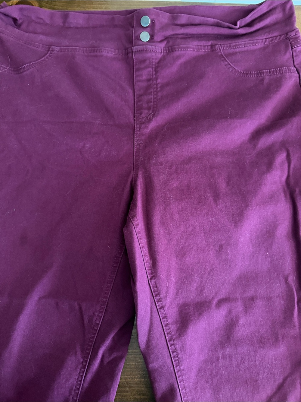 Terra & Sky Deep Plum Waistband Pants